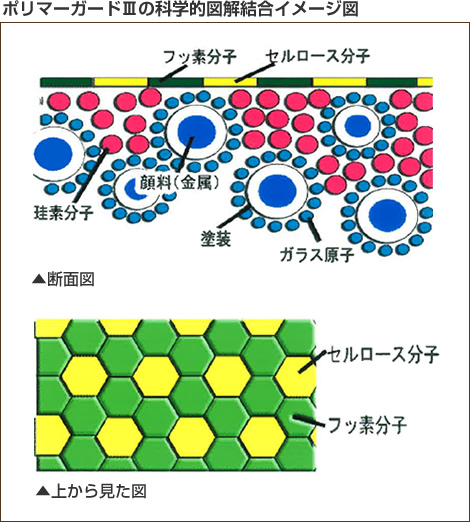 ポリマーガードⅢの科学的図解結合イメージ図